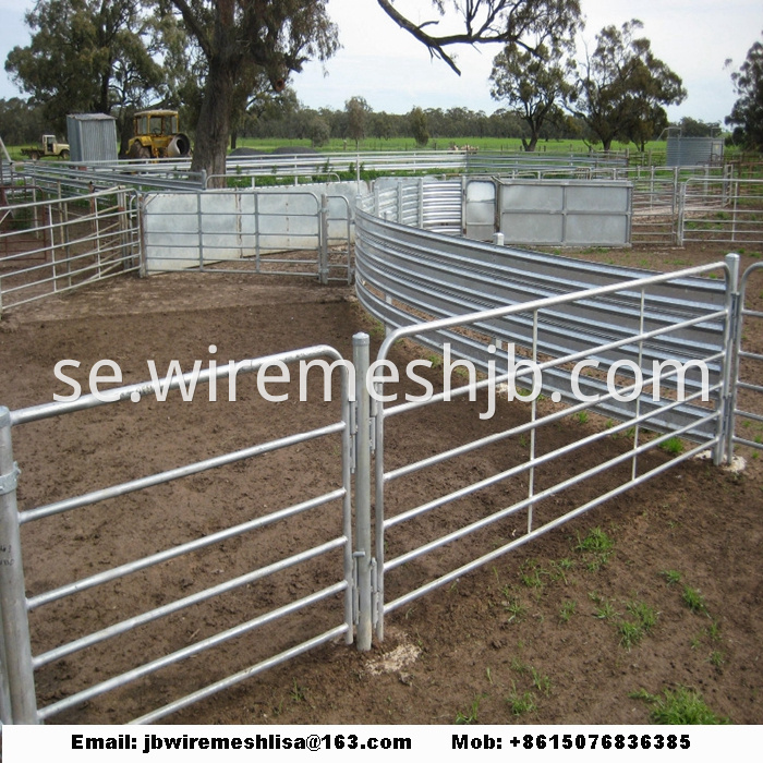 Hot Dipped Galvanized Metal Horse Fence Panel